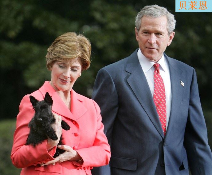 冰桶挑战发起人去世 那些参加过冰桶挑战的名人你还记得吗? 冰桶挑战发起人去世 那些参加过冰桶挑战的名人你还记得吗?