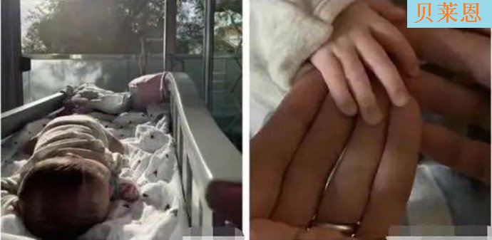 古巨基当爸 妻子高龄产妇为爱开花结果 古巨基当爸 妻子高龄产妇为爱开花结果