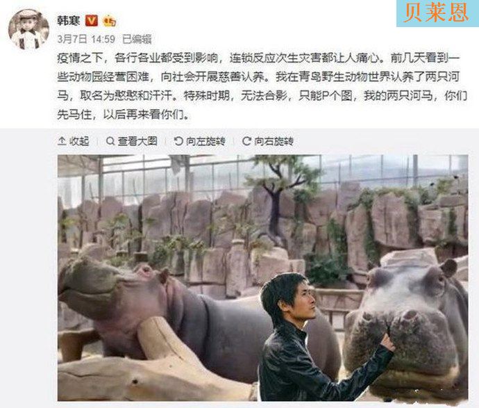 韩寒认养两头河马 韩寒为何认养河马? 韩寒认养两头河马 韩寒为何认养河马?