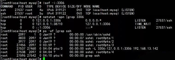 SSH 远程登陆 Linux 主机怎么实现