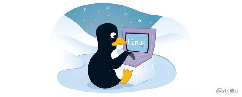 linux 中的 pwd 是什么意思