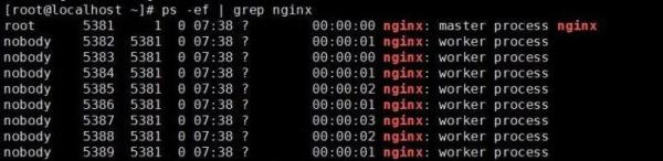 Linux 有哪些好用的命令
