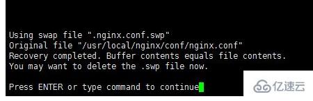 linux swp 文件指的是什么