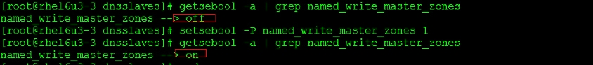 rhel6 中 dhcp 和 dns 如何配置