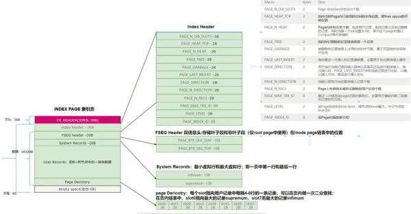 InnoDB 中怎么插入数据