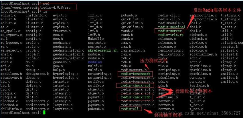 如何在 Linux 中安装 Redis