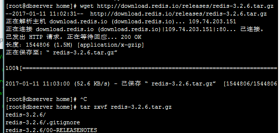 如何在 Linux 系统中安装与使用 redis