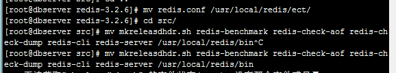 如何在 Linux 系统中安装与使用 redis