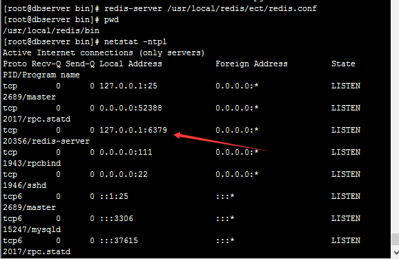 如何在 Linux 系统中安装与使用 redis