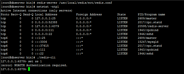 如何在 Linux 系统中安装与使用 redis