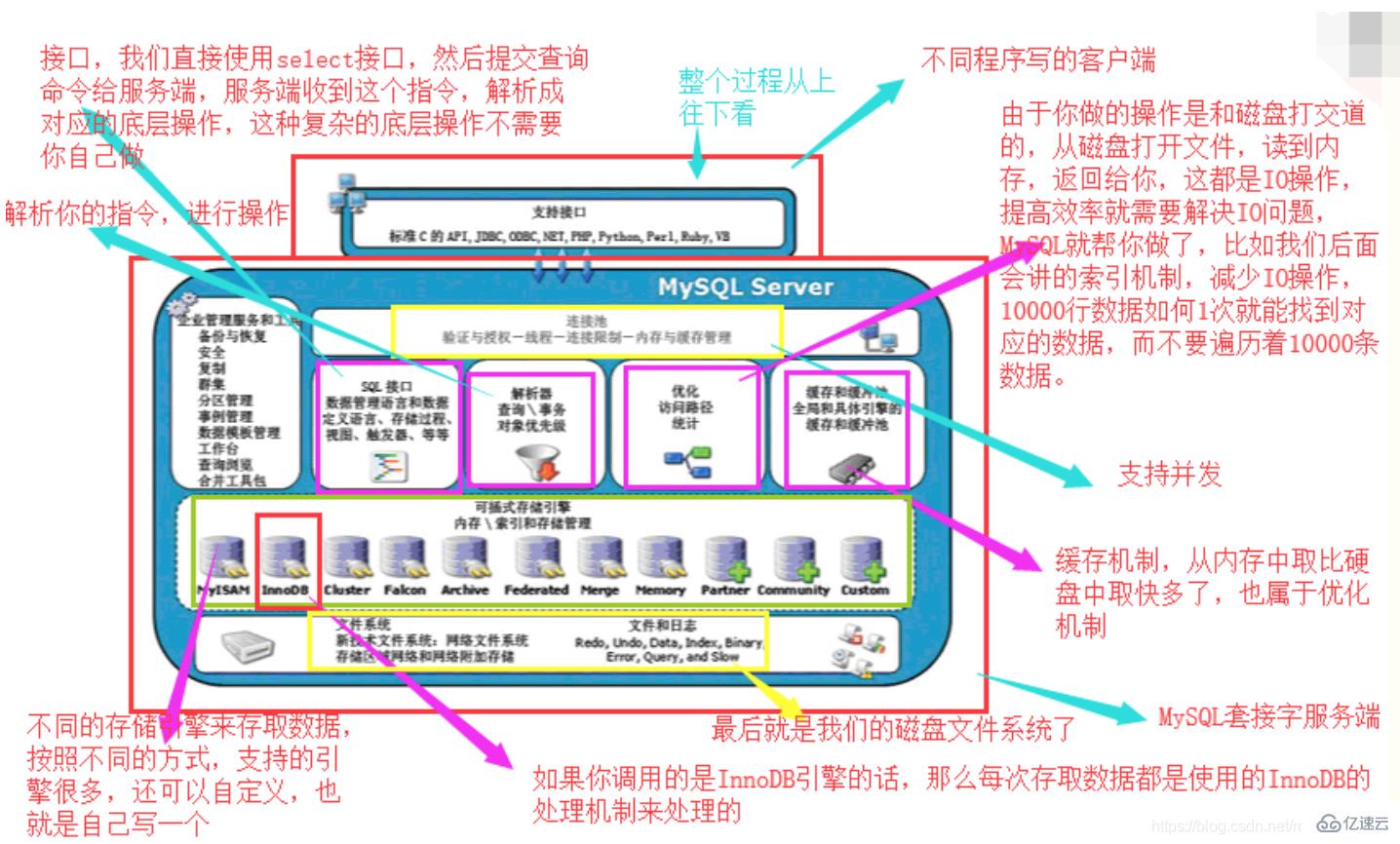 详细分析 MySQL 数据库的基础用法