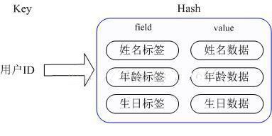 redis 与 memcached 的区别是什么