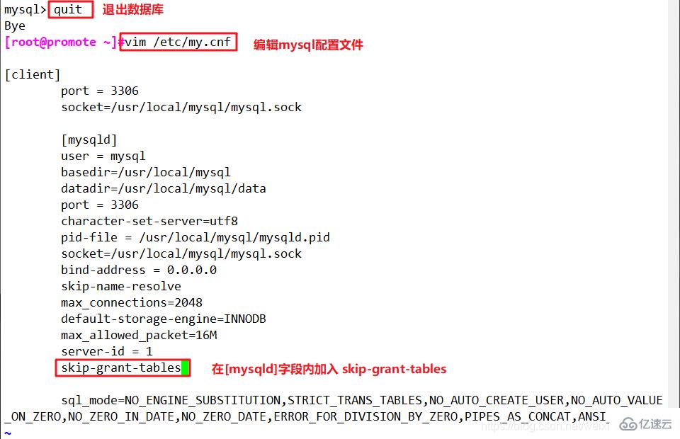 MySQL 数据库高级操作示例