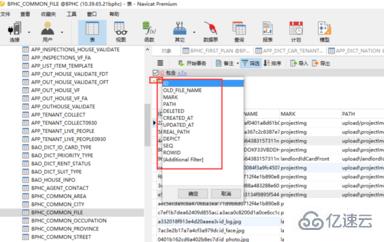 navicat 数据库筛选查询某一个字段的方法