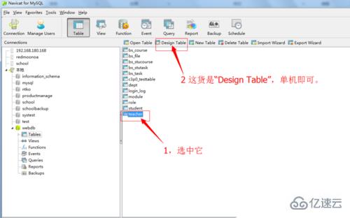 navicat 表约束有哪些