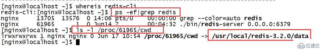 linux 下如何查看 redis 的安装目录