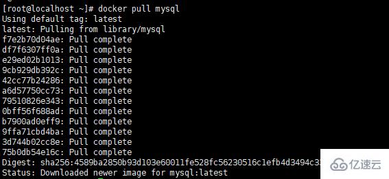 docker 安装 mysql 的方法