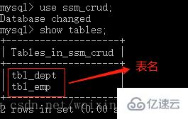 cmd 查看 mysql 的方法