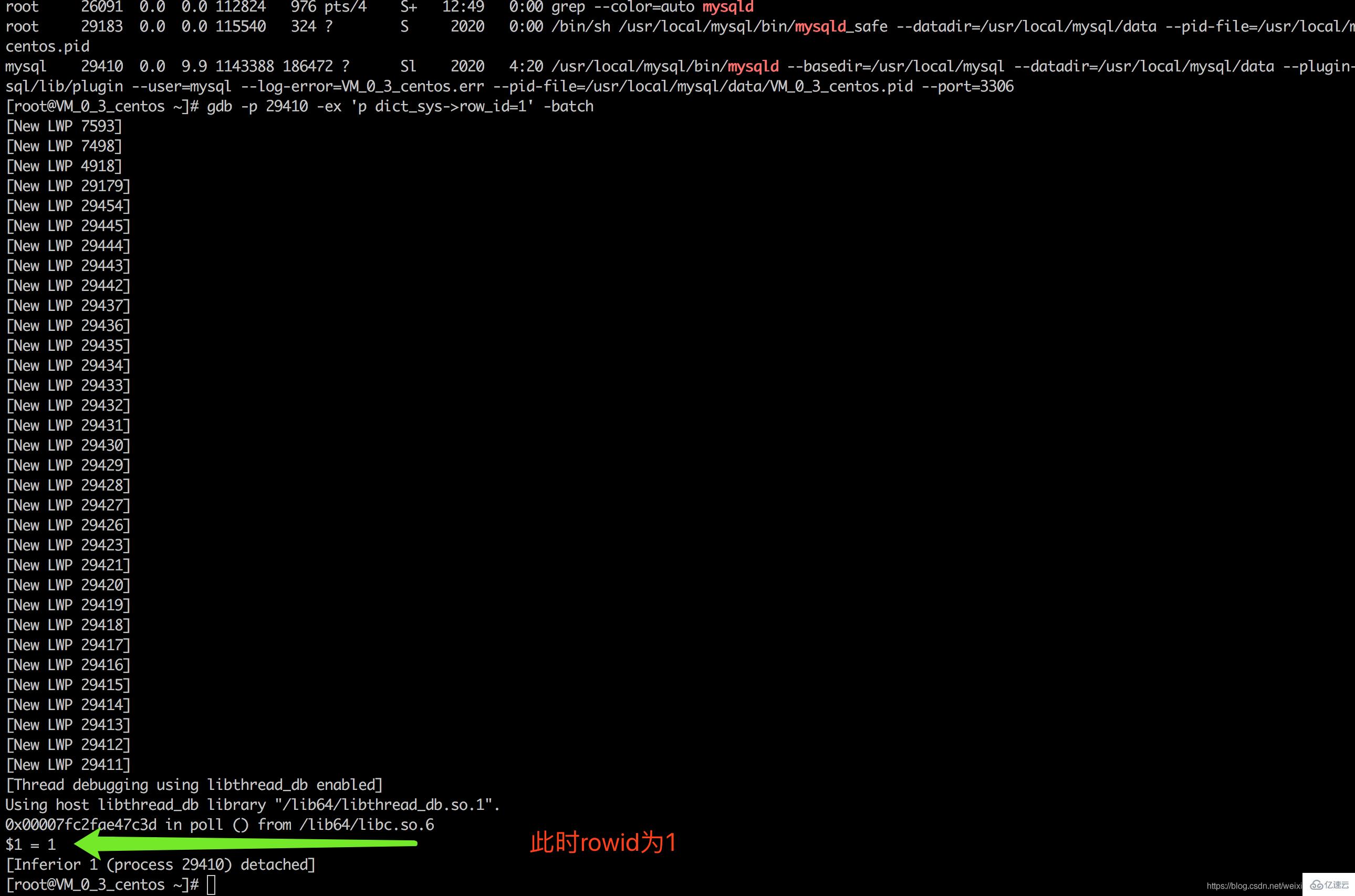 mysql 隐藏字段 rowid 在什么时候是可见的