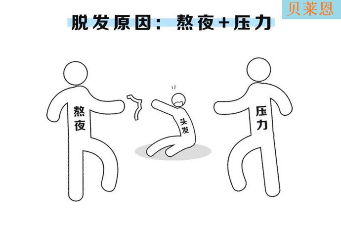 90 后秃头的原因