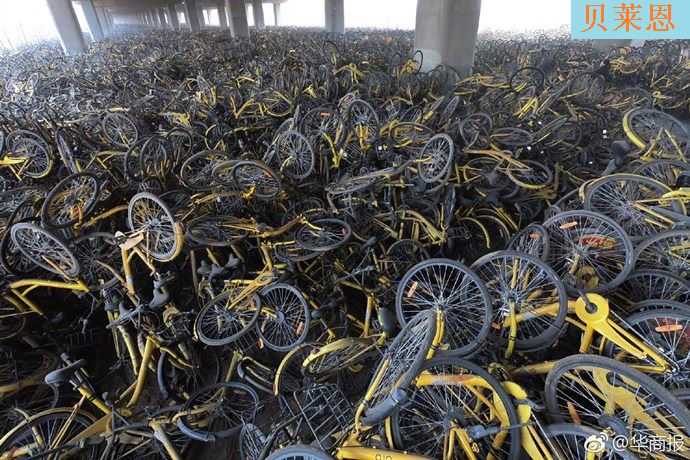 ofo 风光不再