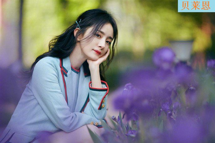 杨幂魏大勋同去酒店