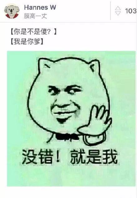 说是不是老公的小 sb 怎么回复（机智的神回复）